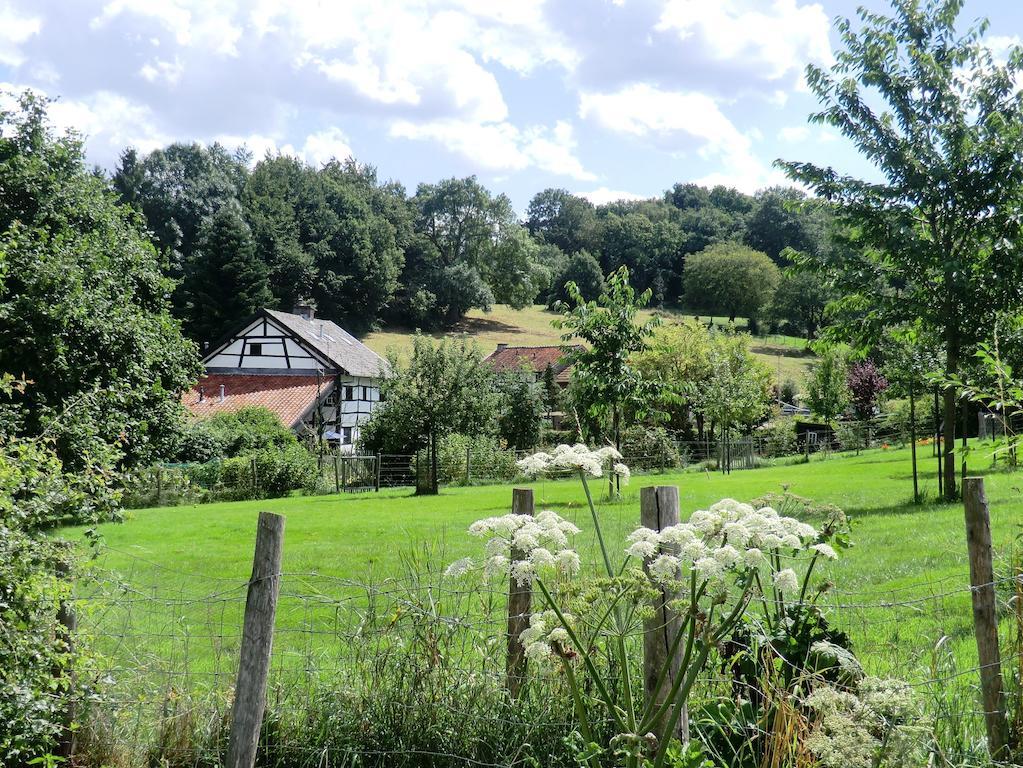 De Korenwolf Hotel 3*
